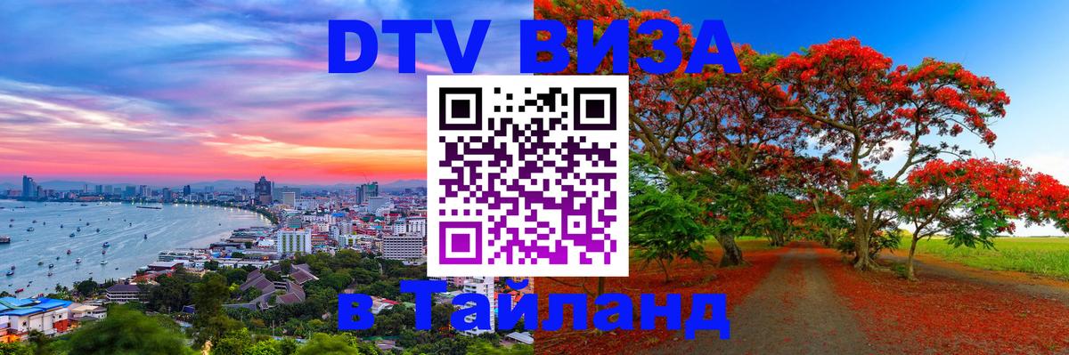 Сколько стоит DTV виза — актуальные цены, оформление даже без документов - Бразилиа 